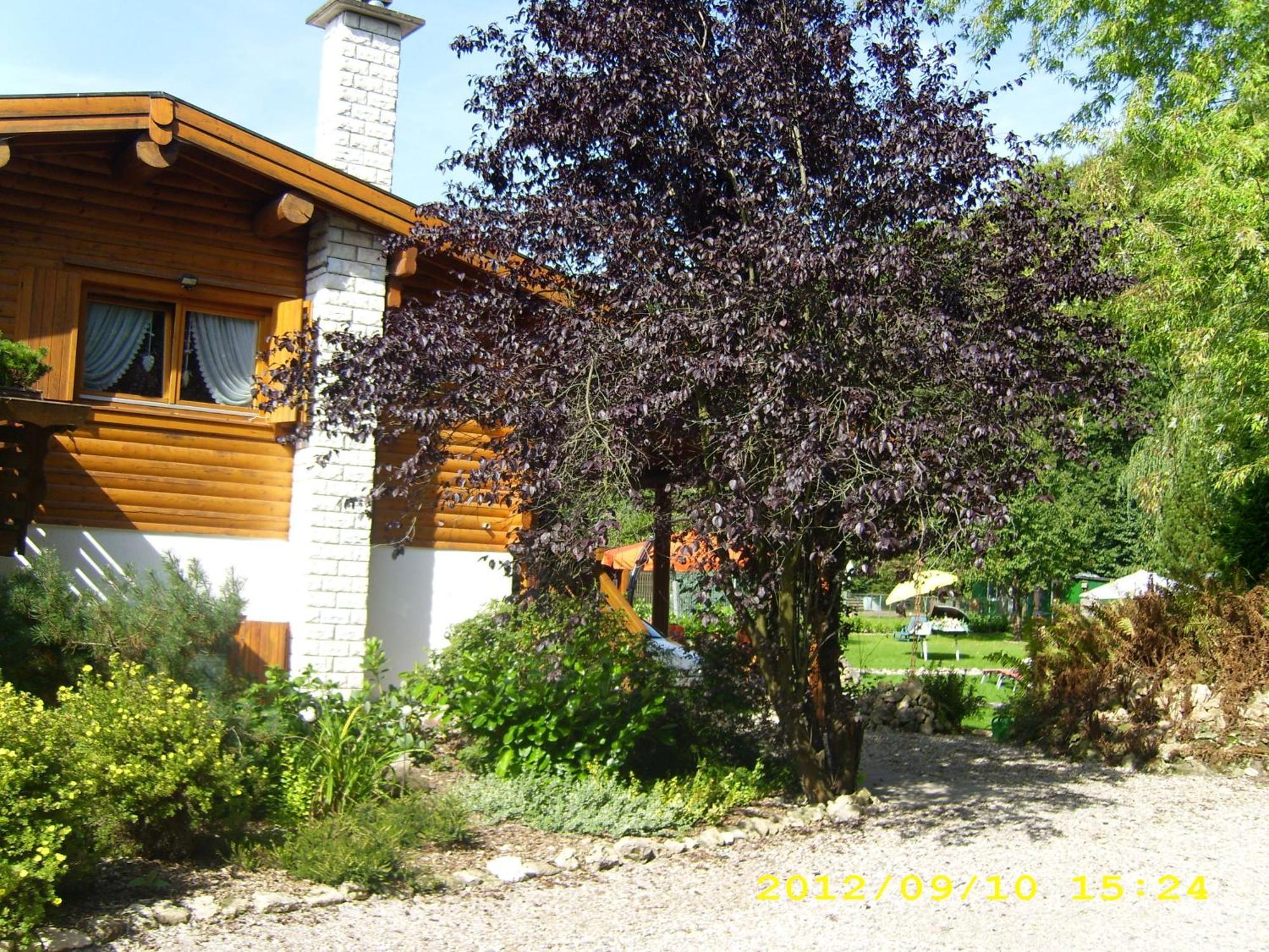 Apartment Am Kupferberg Walkenried